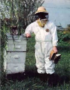 Beekeeping Basics Image